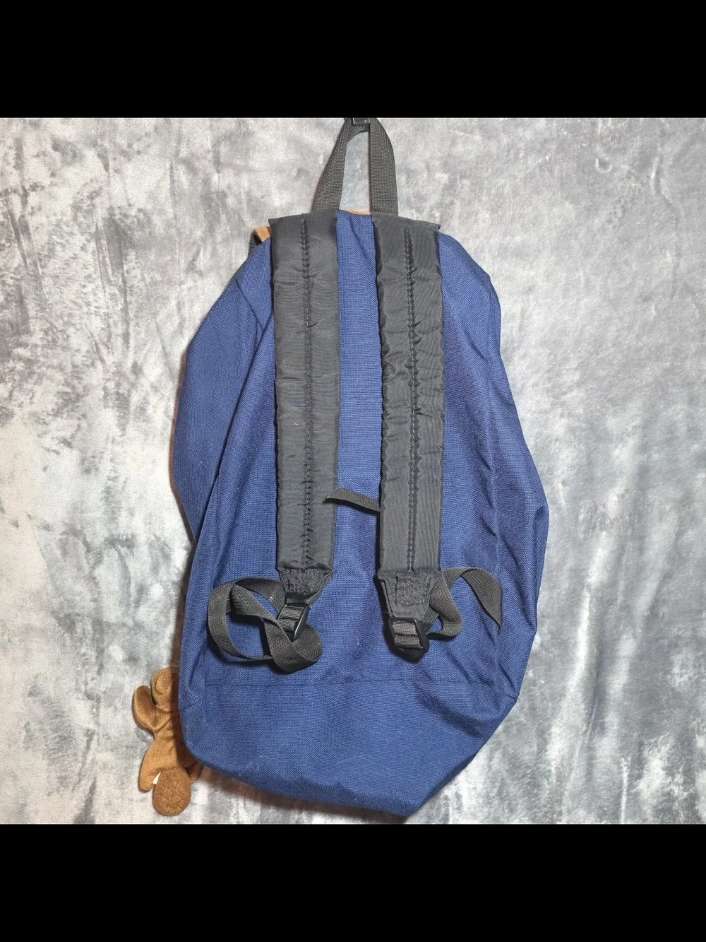 JanSport Navy Backpack with Brown Suede Flap